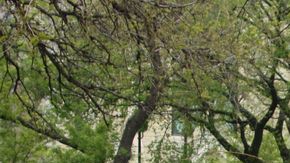 Cientos de personas se preparaban para marchar en el parque Union, cerca del centro de Chicago.