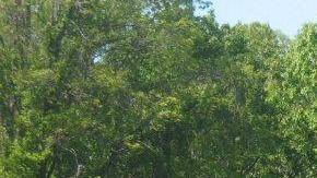 El comisionado Joan McDonald dijo que instalarán nuevas barreras de concreto en algunos carriles de los tres viaductos en el Bronx River Parkway.