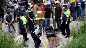 La policía extrae del canal las bolsas plásticas donde fueron metidos los cuerpos desmembrados de las cuatro personas.