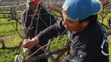 El 73% de los trabajadores agrícolas de la zona son extranjeros, muchos de ellos indocumentados.