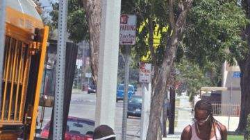 A las personas discapacitadas les resulta difícil o muy difícil recibir apoyos del gobierno a pesar de que su vulnerabilidad para el empleo y para ser autosuficiente.