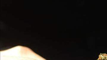 El de Barcelona es el segundo Museo de Cannabis que existe, después del que hay en Ámsterdam.