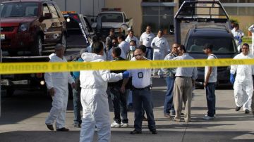 Expertos forenses bajan los dos vehículos donde fueron hallados los cuerpos de 15 personas cerca de Guadalajara, México.