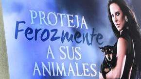 La actriz Kate del Castillo se ha convertido en una ferviente protectora de los animales y es vocera de PETA,  para concientizar sobre la necesidad de esterilizarlos.
