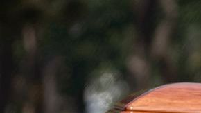 El ataúd de Carlos Fuentes llega a Bellas Artes.