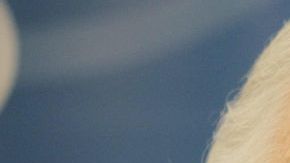 El  afamado escritor  habia sido    nombrado Doctor Honoris Causa por la Universidad de las Islas  Baleares en Espana.