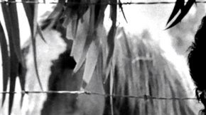 Jara fue torturado por militares tras el golpe de estado de Augusto Pinochet en 1973.