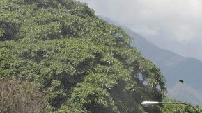 Familiares de reclusos escapan de gases lacrimógenos lanzados por la Guardia Nacional en los alrededores del centro penitenciario La Planta, en Caracas.