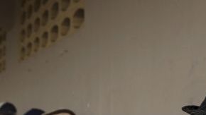 A pesar de la lluvia, cientos de dominicanos madrugaron para registrar desde temprano su voto.