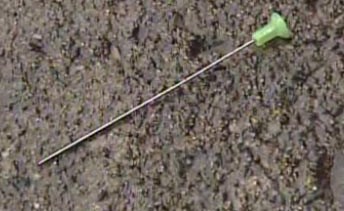 Las autoridades sospechan que el  adolescente  lanzó los dardos  desde  una
pistola neutralizadora.