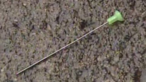 Las autoridades sospechan que el adolescente lanzó los dardos desde una
pistola neutralizadora.