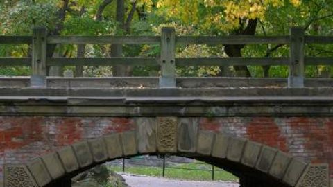 El Parque Central es el pulmón de la Gran Manzana y es uno de los puntos ideales para celebrar este domingo el Día Mundial de la Tierra.