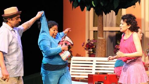 Según la autora, se trata de una historia sobre mujeres fuertes en lucha, "que toman decisiones ciertas o equivocadas para sobrevivir", aunque muchos pueden ver en escena un drama que explora "las perversiones del Sueño Americano" de los inmigrantes.