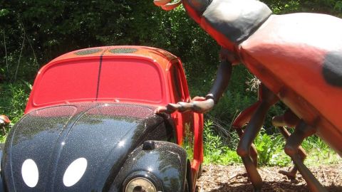 Las avispas fueron reproducidas hasta 250 veces su tamaño original para ‘Extreme Bugs' en el Zoológico Brookfield.