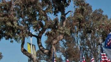 David and Cynthea Brown acuden al evento de Mit Romey en el marco del Día de los Caídos.