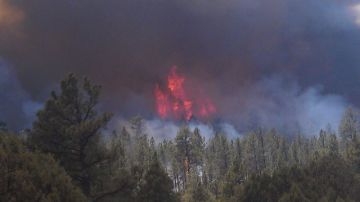 En la imagen se muestra parte del incendio en el Bosque Nacional Gila.
