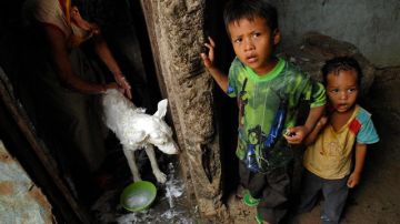 El delito de la trata de personas goza de gran impunidad en Managua, según una representante de Save The Children.