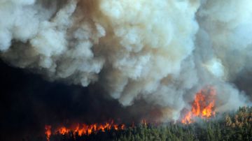 Las llamas queman hectáreas cercanas a la carretera 27 de  Larimer County y a la autopista 14 de High Park, al oeste de Fort Collins,  en Colorado.