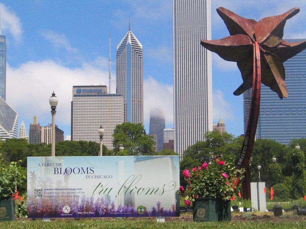 La organización Growing Power cultivará el jardín de espliegos, rosas y violetas que se usarán en el perfume Tru Bloom Chicago.