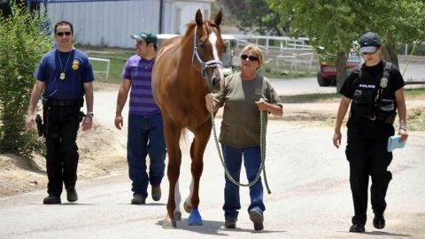 Las autoridades intentan confiscar el rancho de uno de los acusados,  Eusevio Maldonado, ubicado 25 millas al suroeste de Austin.