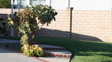 Omar Romero quisiera crear conciencia de lo importante que es inscribirse como donante de médula ósea.