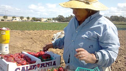 A pesar de que la UFW ha puesto más de 70 quejas por condiciones excesivas de calor, las autoridades no han hecho nada.