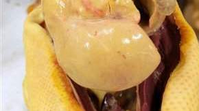 El hígado crecido artificialmente de un pato para producir foie gras.