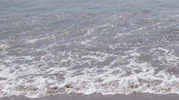 Dos chicas toman el sol en la Playa Brighton en Brooklyn. Un nuevo reporte indica que Nueva York tiene las mujeres más bellas del país.