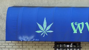 Por permitir a una persona que abriera un dispensario de marihuana medicinal.