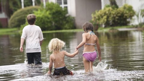 Residentes de la bahía de Riviera de San Petersburgo, sufriendo las inundaciones por 'Debby'.