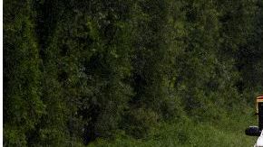 Las intensas lluvias han obligado al cierre de varios tramos de la única autopista interestatal que recorre Florida.