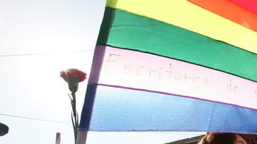 Congresistas demócratas de EE.UU.  defienden a los homosexuales de Honduras.