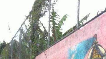 Largas filas se registran desde temprano en todo el país.