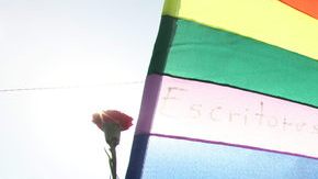 Los dos recursos avalados por la Unión de Libertades Civiles de Illinois y el grupo en defensa de los gays con sede en Nueva York "Lambda Legal " incluye a parejas del área de Chicago Bloomington y Marion.