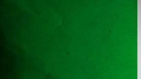 La invasión de los 'reptiles' en México.