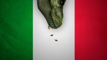 La invasión de los 'reptiles' en México.