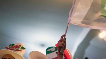 Seguidores de Enrique Peña Nieto y el PRI enarbolan sus banderas partidistas al conocerse el virtual triunfo de su candidato.