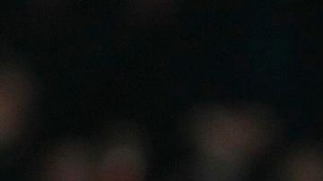 Robin Van Persie.