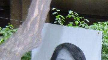 La exposición en el Jane Addams Hull-House Museum estará abierta al público hasta el 29 de julio.