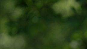 El presidente Barack Obama.