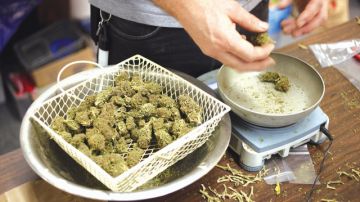 A pesar de los retos legales, los dispensarios de marihuana podrán seguir operando en la ciudad de Los Ángeles.