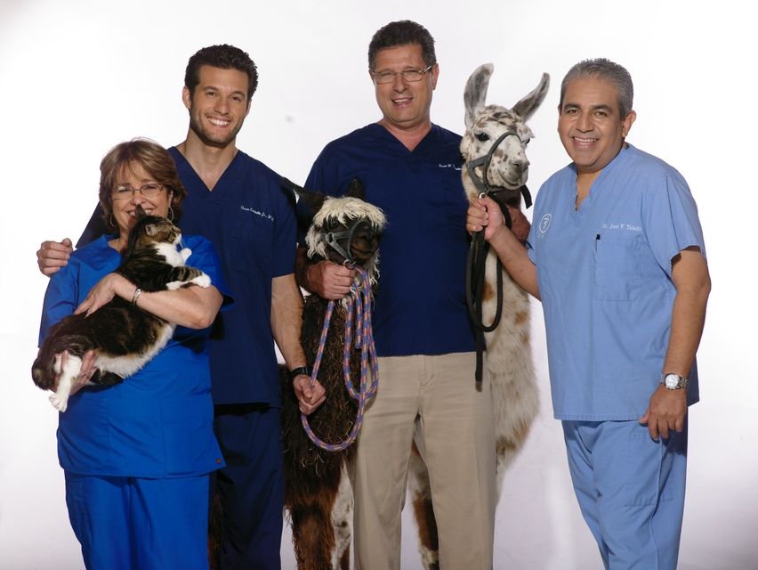 Las estrellas humanas y animales de 'Doctor Vet: Miami', que se emite los domingos.