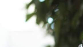 Emanuel Pleitez, de 29 años, quiere convertirse en el alcalde de LA.