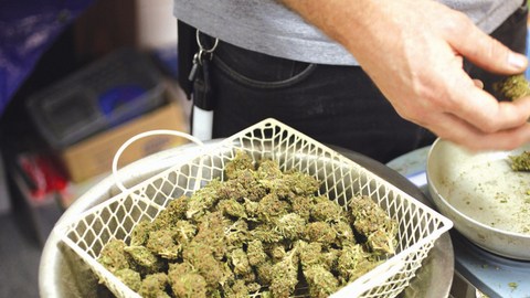 Harborside advirtió que llevará su caso ante una corte, al argumentar que se basa en la ley estatal de California que permite el consumo de marihuana con propósitos terapéuticos.