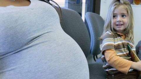 Especialistas sugieren que no se utilicen plaguicidas químicos en las viviendas de embarazadas.