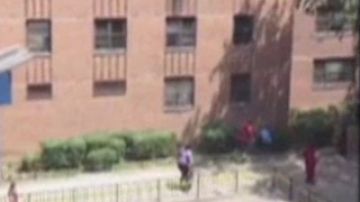 La niña de siete años de edad se encontraba en la ventana de su apartamento en Coney Island Houses.