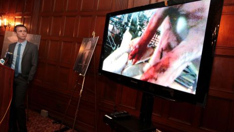 Nathan Runkle, presidente de Mercy for Animals, que defiende los derechos de los animales, explicó que desde su nacimiento los cerdos en las granjas Christensen son mal tratados.