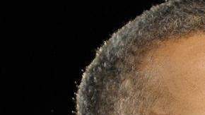 El presidente Obama expresó sus condolencias por la matanza en Colorado.