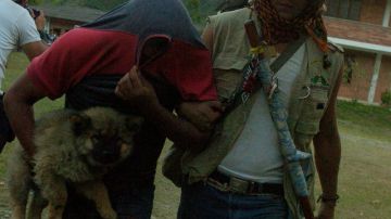 Un miembro de la guardia indígena lleva a uno de los cuatro supuestos milicianos de la guerrilla de las FARC capturados por ellos.