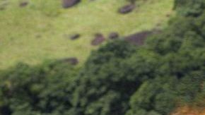 Steve Austin, Eric Roberts en The Expendables.